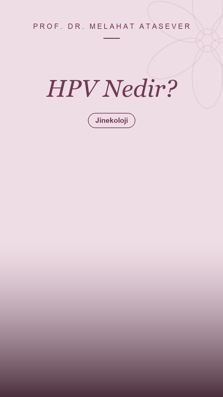 HPV Nedir? Nasıl Bulaşır, Kimler Risk Altında ve Nasıl Tanı Konur?